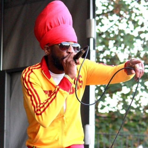 Bobo Blackstar